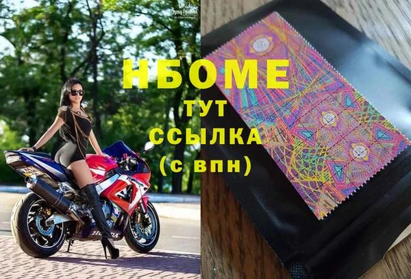 стафф Алзамай