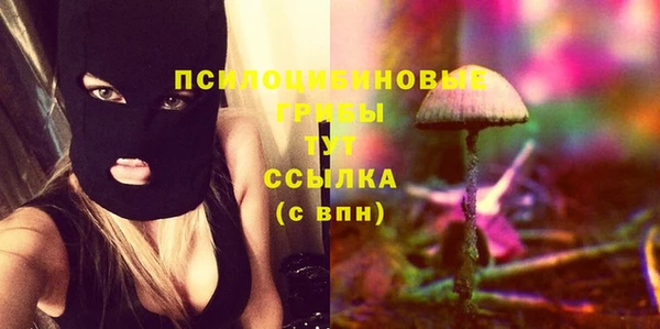 стафф Алзамай