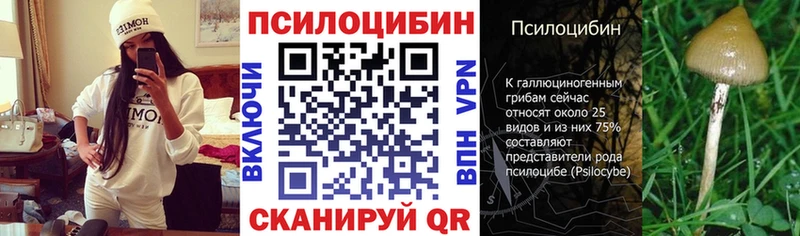 Галлюциногенные грибы MAGIC MUSHROOMS  omg tor  Балашиха 