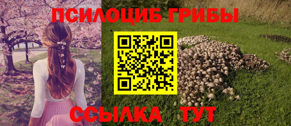 Галлюциногенные грибы Magic Shrooms  Вход с VPN  Балашиха 