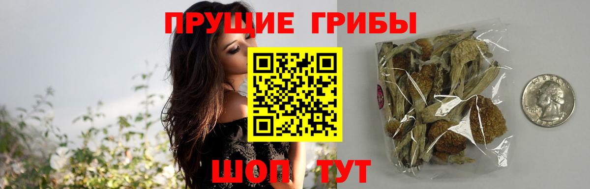 МЕФ   Балашиха  Cocaine  МЕТАМФЕТАМИН  Продажа наркотиков  Codein  ЭКСТАЗИ  ГАШ  Гашиш  Вход с VPN  Каннабис  Меф 
